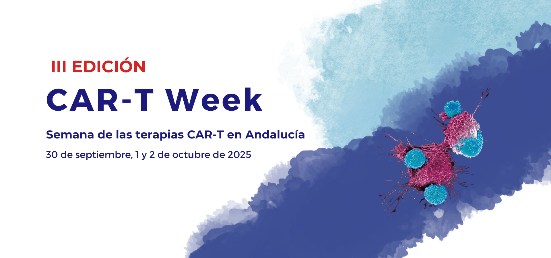Lee más sobre el artículo Vídeos – III Edición CAR-T Week. Semana de las terapias CAR-T en Andalucía